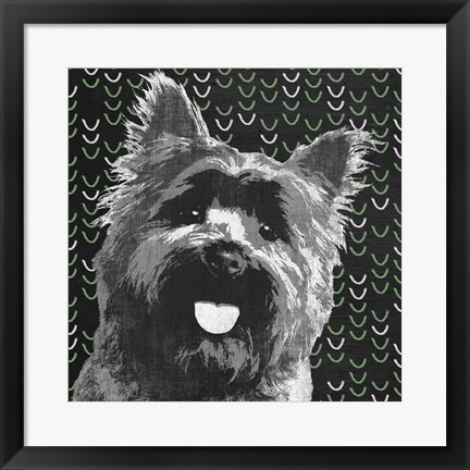 Framed Yorkie Print