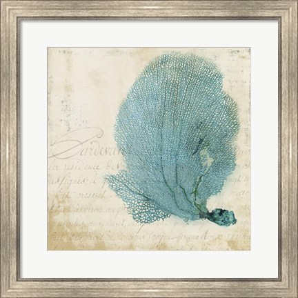 Framed Blue Coral II Print