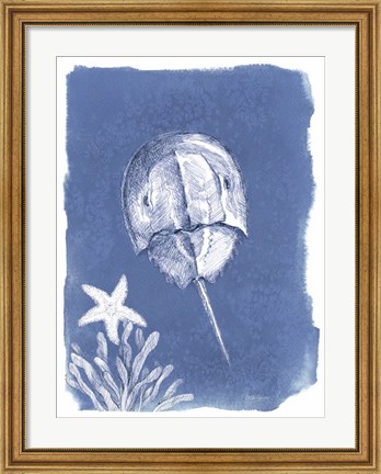 Framed Coastal Sea Life VI Print