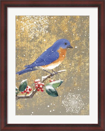 Framed Winter Birds Bluebird Color Print