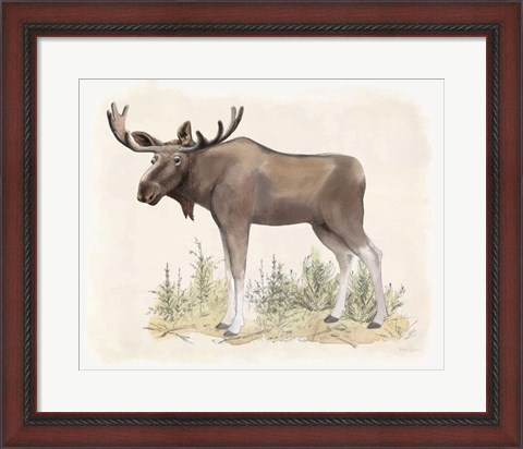 Framed Wilderness Collection Moose Print