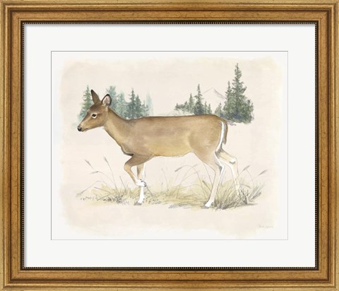 Framed Wilderness Collection Deer Print