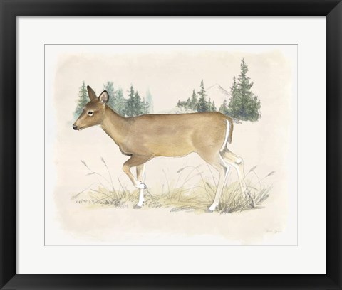 Framed Wilderness Collection Deer Print