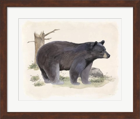 Framed Wilderness Collection Bear Print