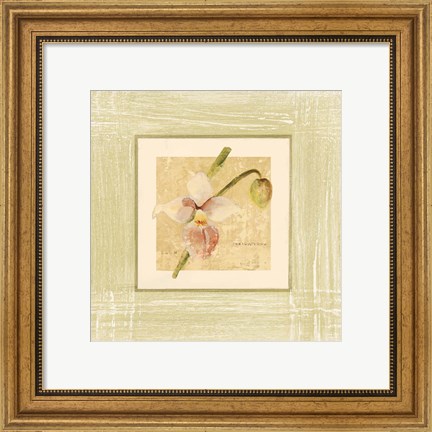 Framed Exotic Floral IV Print