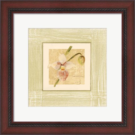 Framed Exotic Floral IV Print