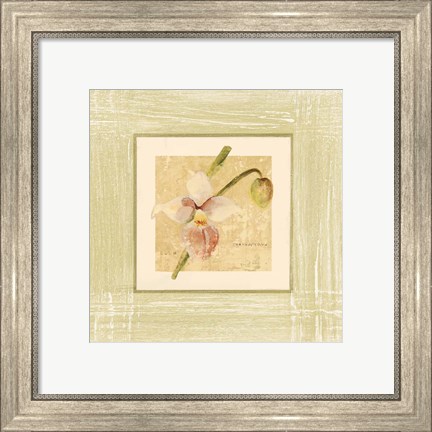 Framed Exotic Floral IV Print