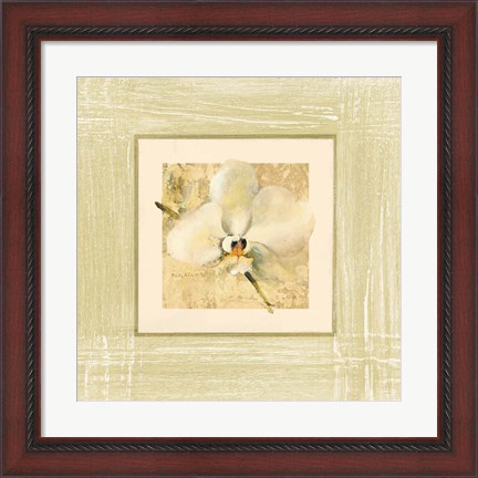 Framed Exotic Floral III Print