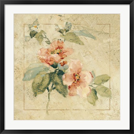 Framed Provence Rose I Print