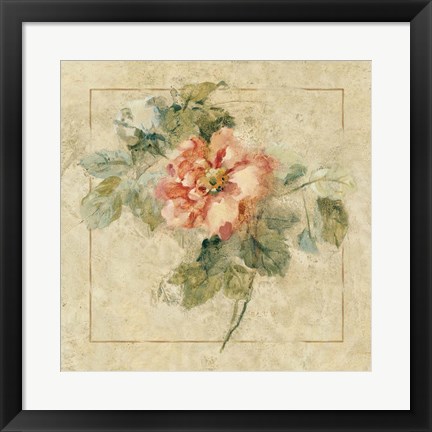 Framed Provence Rose II Print