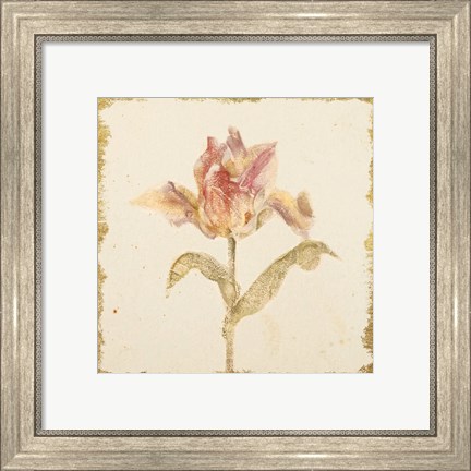 Framed Vintage Zoomer Schoon Tulip Crop Print