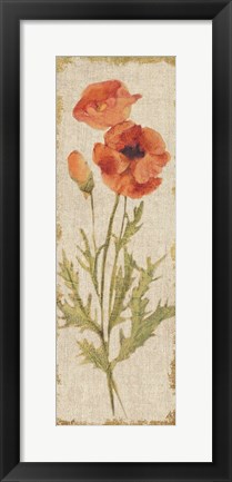 Framed Poppy Panel on White Vintage Print