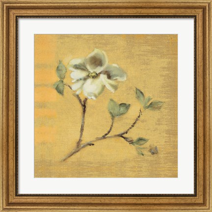 Framed Dogwood Blossom on Gold Print