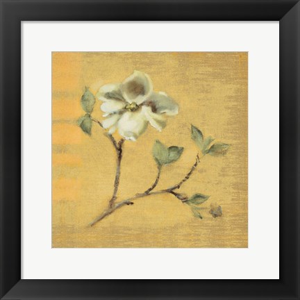 Framed Dogwood Blossom on Gold Print