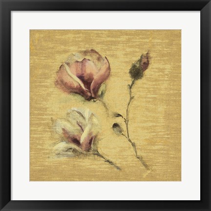 Framed Magnolia Blossom on Gold Print