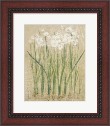 Framed Narcissus Cool Print