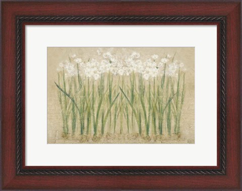 Framed Narcissus Row Cool Print