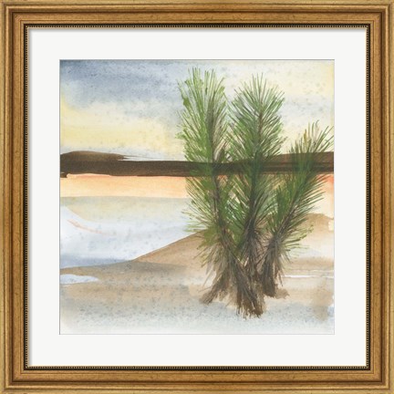 Framed Desert Yucca Print