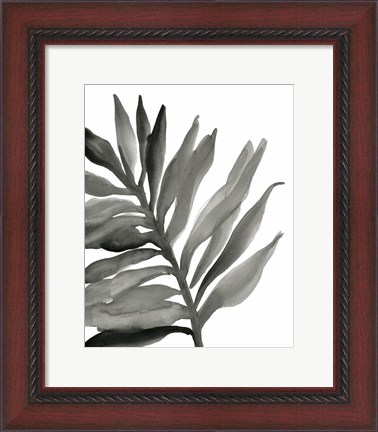 Framed Tropical Palm III BW Print