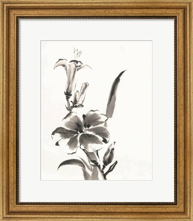 Framed Sumi Daylily III Print