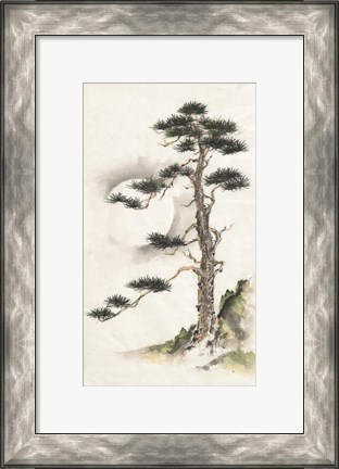 Framed Moon Pine Print