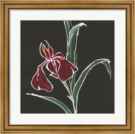 Framed Iris on Black V Print