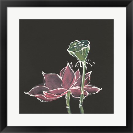 Framed Lotus on Black III Print