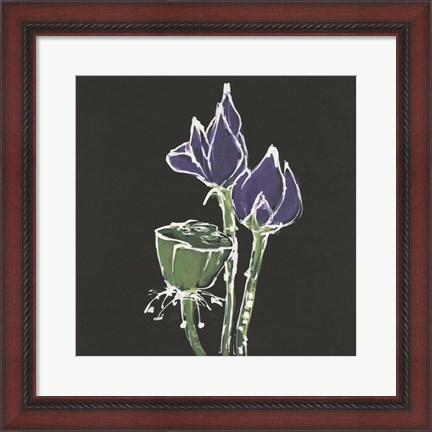 Framed Lotus on Black II Print