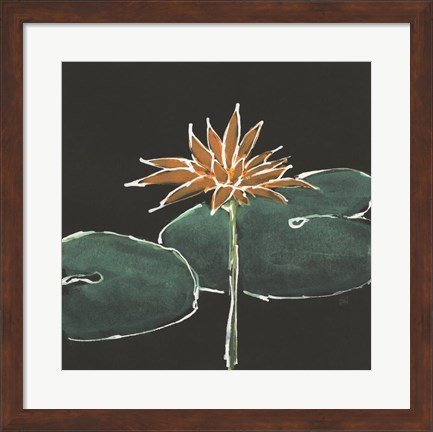 Framed Lily on Black VI Print