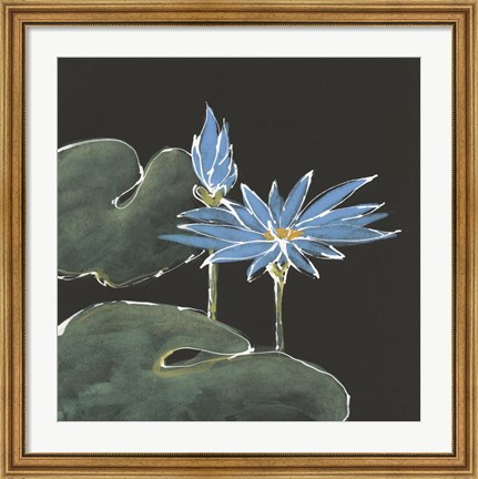 Framed Lily on Black V Print