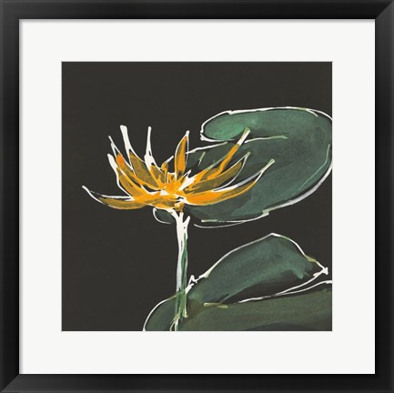 Framed Lily on Black I Print