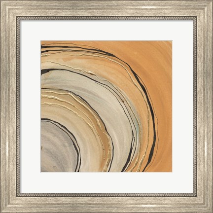 Framed Gilded Rings Print