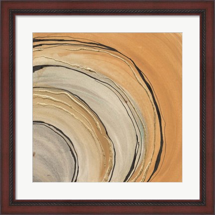 Framed Gilded Rings Print