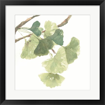 Framed Gingko Leaves I on White Print