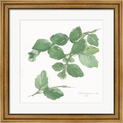 Framed Oregano Print