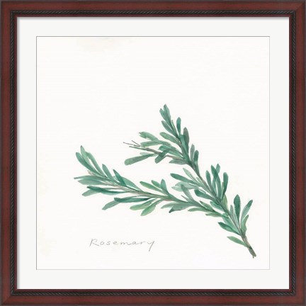 Framed Rosemary II Print