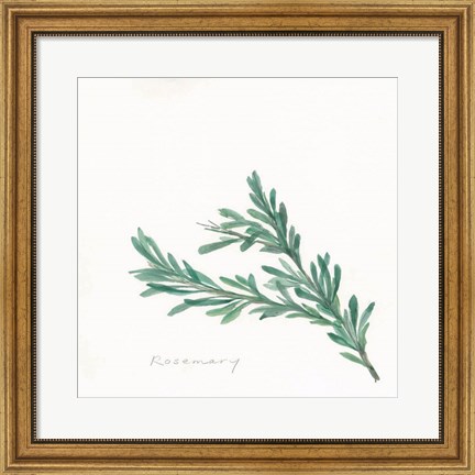 Framed Rosemary II Print