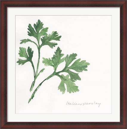 Framed Italian Parsley II Print