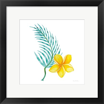 Framed Treasures of the Tropics IX Print