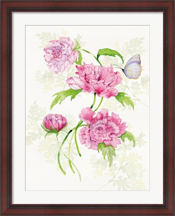 Framed Floral Delight III Butterflies Print