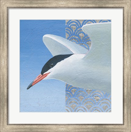 Framed Common Tern II Print