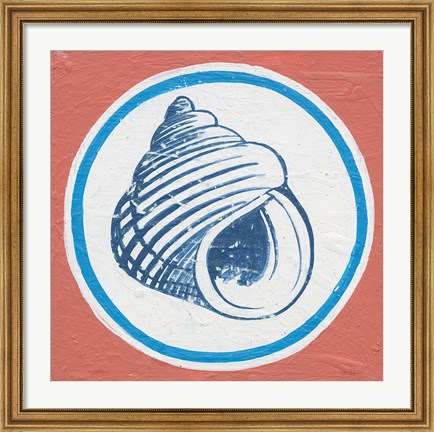 Framed Summer Shells III Print