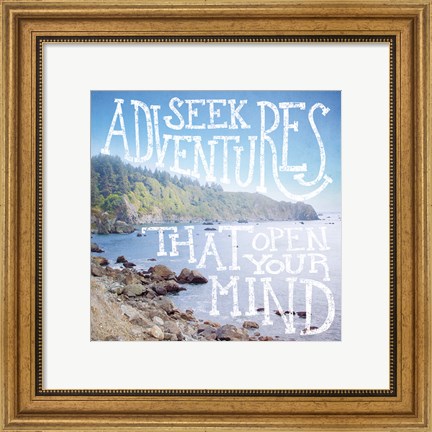 Framed Coastal Adventures III Print