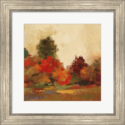 Framed Fall Forest III Print