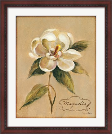 Framed December Magnolia Vintage Print