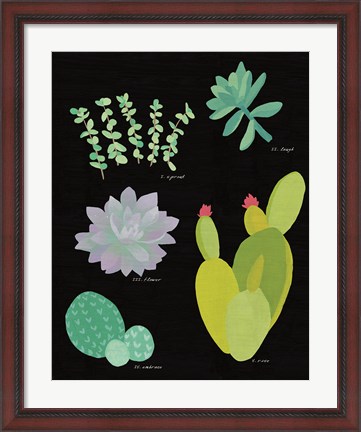 Framed Succulent Chart III Print