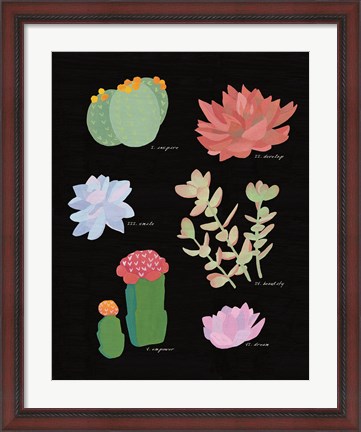 Framed Succulent Chart V Print