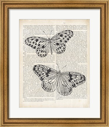 Framed Vintage Butterflies on Newsprint Print