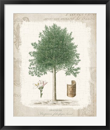 Framed Garden Trees I - Angusture Print