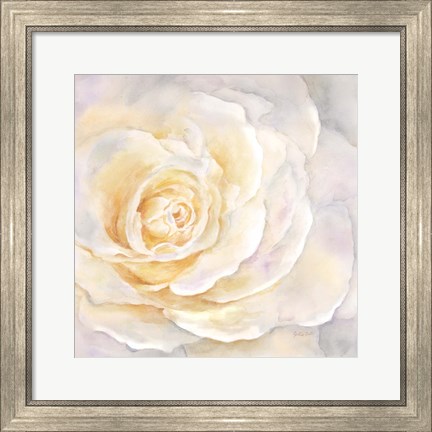 Framed Watercolor Rose Closeup II Print